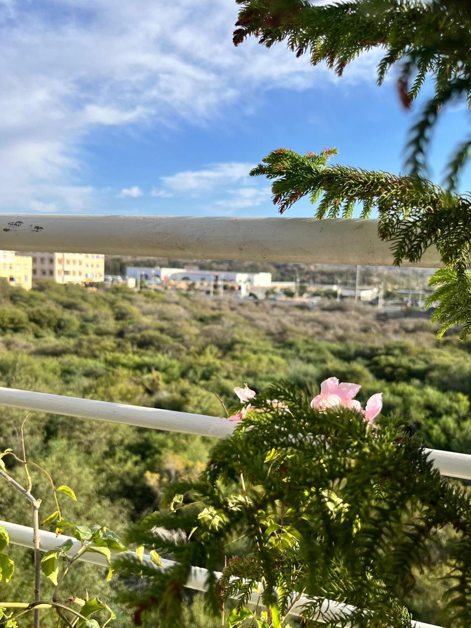 Las Terrazas Mogador エッサウィラ エクステリア 写真